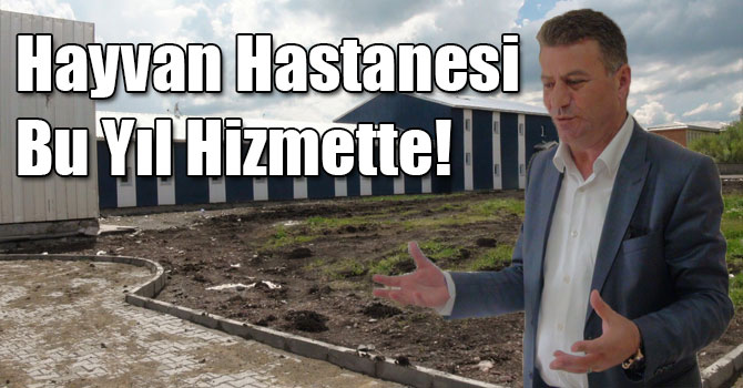 Hayvan Hastanesi Bu Yıl Hizmette!
