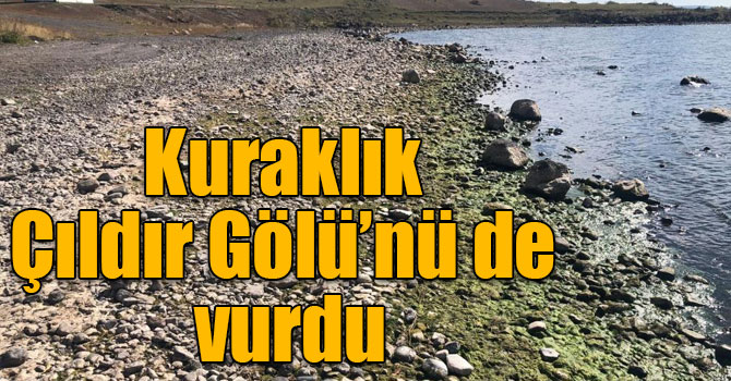 Kuraklık Çıldır Gölü’nü de vurdu, su seviyesi düştü