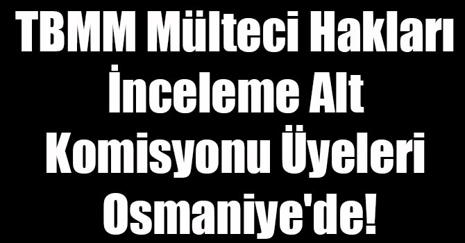 TBMM Mülteci Hakları İnceleme Alt Komisyonu Üyeleri Osmaniye'de!