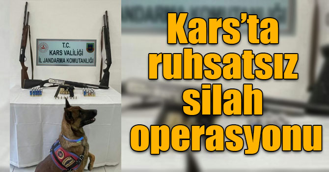 Kars’ta ruhsatsız silah operasyonu