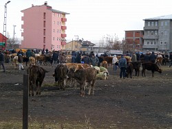 Kars'ta piyasa durgun