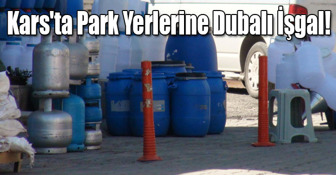 Kars'ta Park Yerlerine Dubalı İşgal!