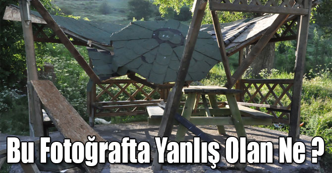 Vicdansızlar Kent Ormanında Kamelya'yı Kırdılar