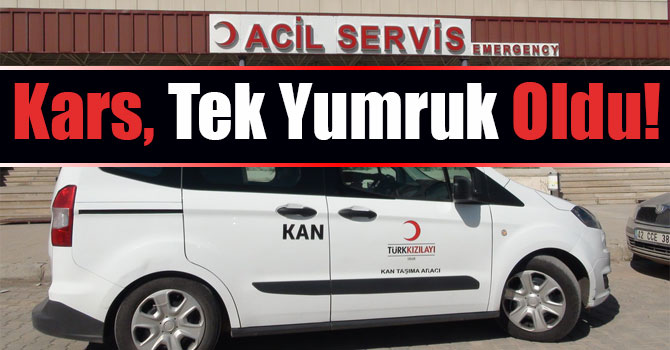 Kars, Tek Yumruk Oldu!