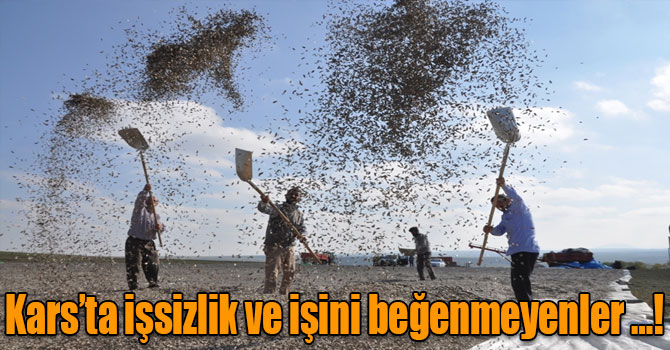 Kars’ta işsizlik ve işini beğenmeyenler …!