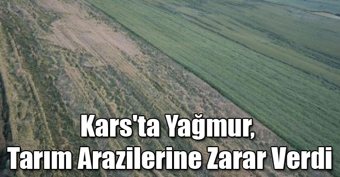 Kars'ta Yağmur, Tarım Arazilerine Zarar Verdi