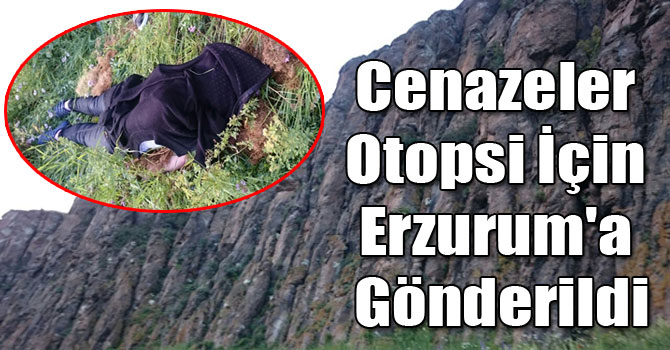 Kars'ta Ayı Saldırısında Ölen 2 Kişinin Cenazeleri Otopsi İçin Erzurum'a Gönderildi