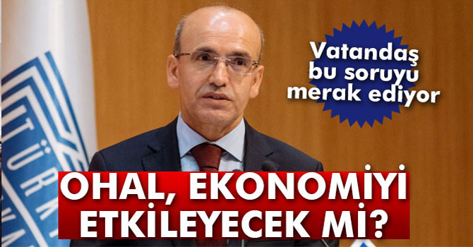 Şimşek: 'OHAL, Ekonominin Normal İşlemesini Engellemeyecek'