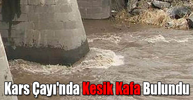 Kars Çayı'nda Kesik Kafa Bulundu