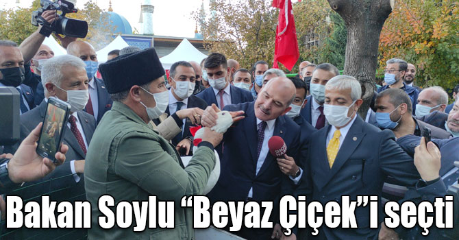 Bakan Soylu birinci olacak kazı seçti