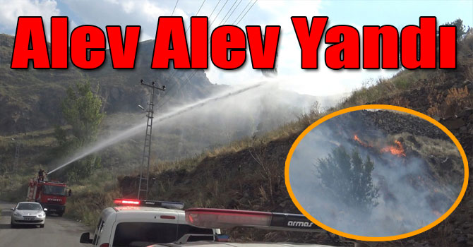 Kars'ta Dağın Otları Alev Alev Yandı