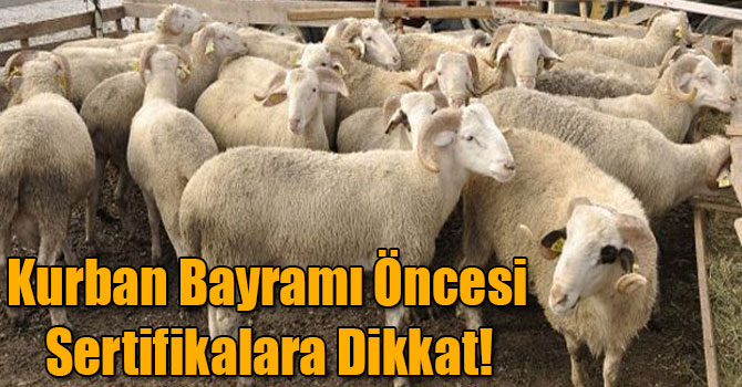Kurban Bayramı Öncesi Sertifikalara Dikkat!