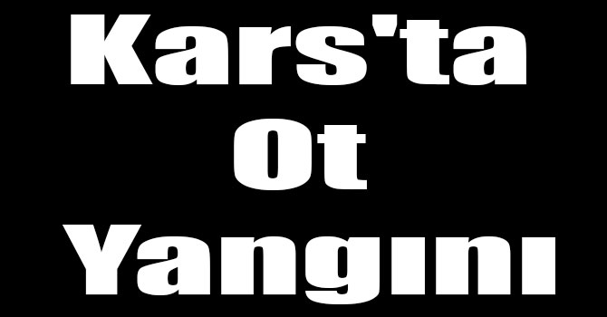 Kars'ta Ot Yangını