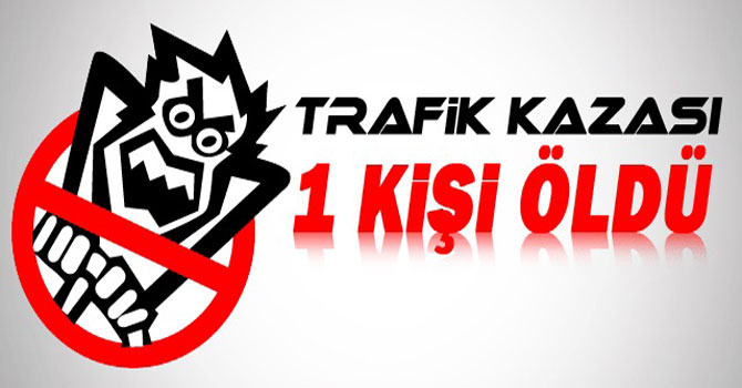 Sarıkamış'ta Trafik Kazası: 1 Ölü