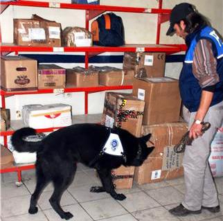 Kars'ta Kargodan ESRAR Çıktı