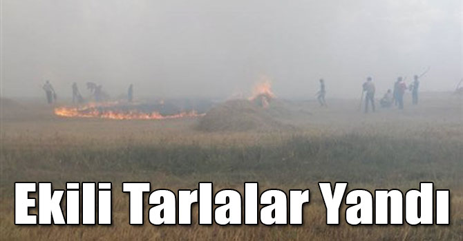 Kağızman’da Ekili Tarlalar Yandı