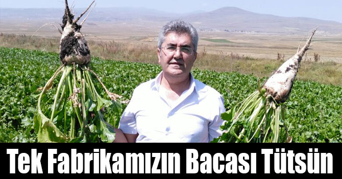 Tek Fabrikamızın Bacası Tütsün