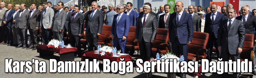 Kars’ta Damızlık Boğa Sertifikası Dağıtıldı
