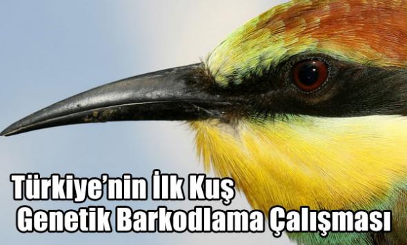 Türkiye’nin İlk Kuş Genetik Barkodlama Çalışması