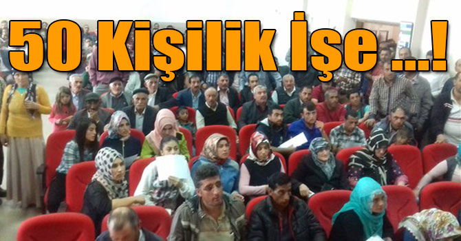 Kağızman'da 50 Kişilik İşe Bin Kişi Başvurdu