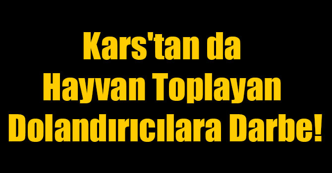 Kars'tan da Hayvan Toplayan Dolandırıcılara Darbe!