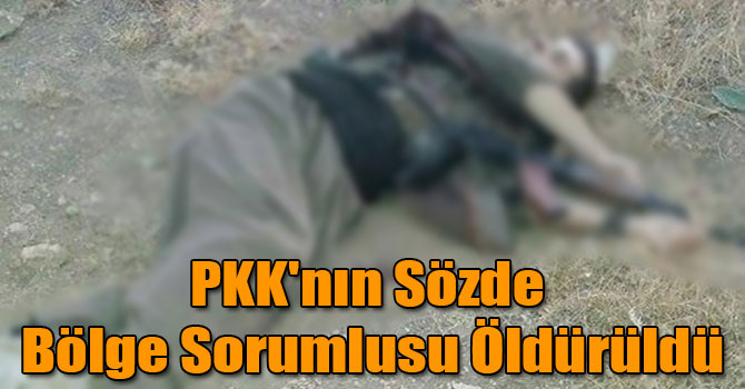 PKK'nın Sözde Bölge Sorumlusu Öldürüldü