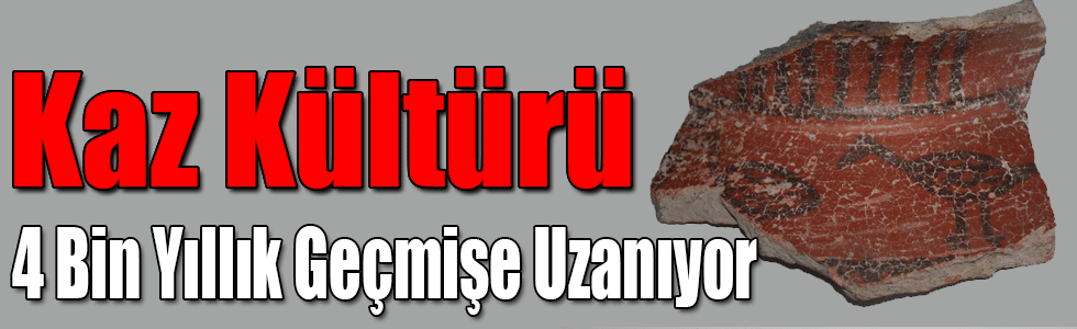 Kaz Kültürü 4 Bin Yıllık Geçmişe Uzanıyor