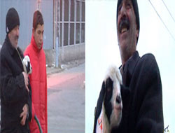 Yolda Doğdu