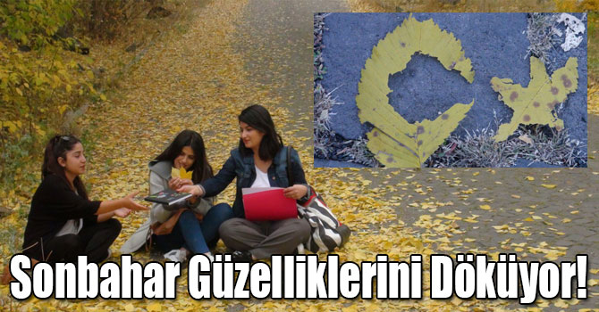 Kars'ta Sonbahar Güzelliklerini Döküyor!