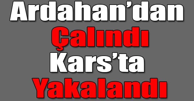 Ardahan’dan Çalınan 69 Büyükbaş Hayvan Kars’ta Ele Geçirildi