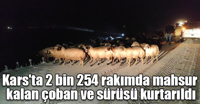 Kars'ta 2 bin 254 rakımda mahsur kalan çoban ve sürüsü kurtarıldı