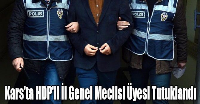 Kars'ta HDP'li İl Genel Meclisi Üyesi Tutuklandı