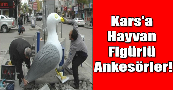 Kars'a Hayvan Figürlü Ankesörler!