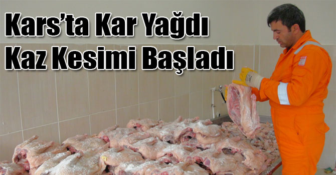 Kars’ta Kar Yağdı Kaz Kesimi Başladı