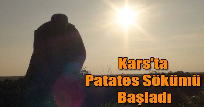 Kars’ta Patates Sökümü Başladı