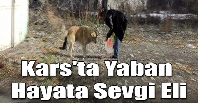 Kars'ta Yaban Hayata Sevgi Eli