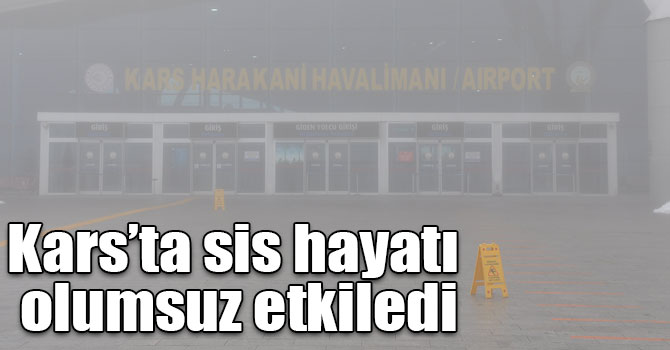 Kars’ta sis hayatı olumsuz etkiledi