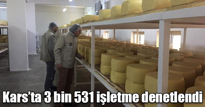 Kars’ta 3 bin 531 işletme denetlendi