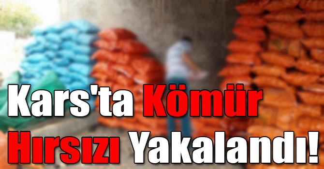 Kars'ta Kömür Hırsızı Yakalandı!