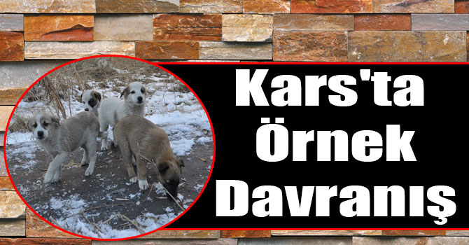 Kars'ta Liseli Öğrencilerden Duygulandıran Davranış