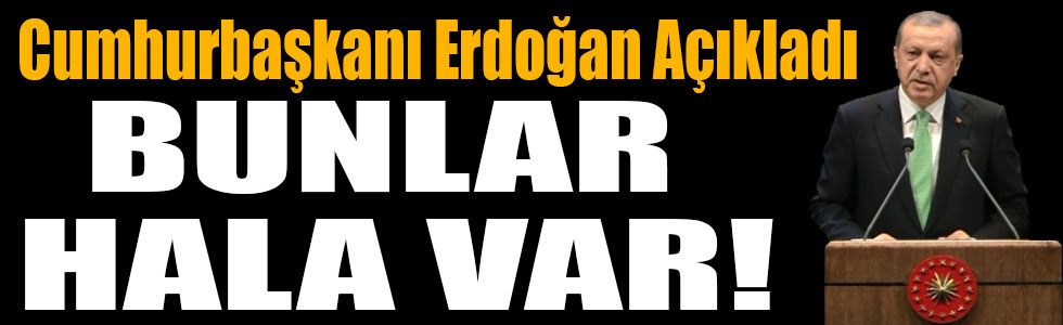 Cumhurbaşkanı Erdoğan: TSK, Polis ve Yargı İçinde Bunlar Hala Var