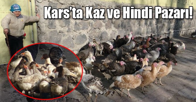 Kars’ta Kaz ve Hindi Pazarı!