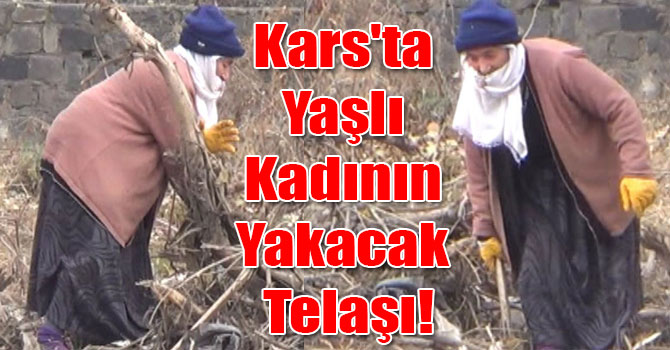Kars'ta Yaşlı Kadının Yakacak Telaşı!