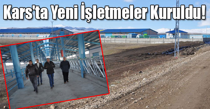 Kars'ta 120 Başlık Süt İnekçiliği İşletmesi Kuruldu