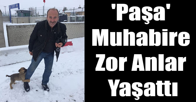 'Paşa' Muhabire Zor Anlar Yaşattı