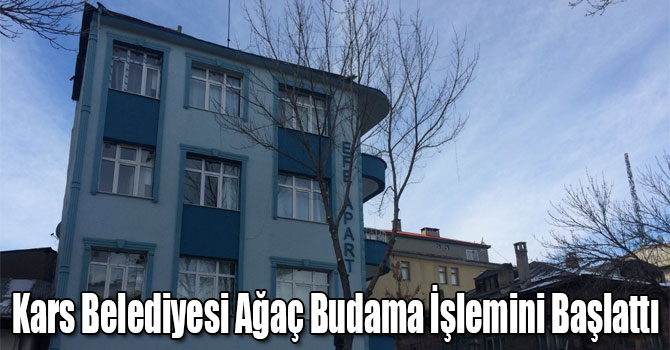 Kars Belediyesi Ağaç Budama İşlemini Başlattı