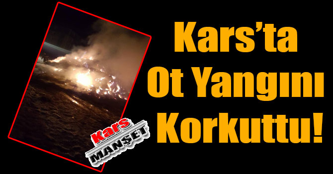 Kars’ta Ot Yangını Korkuttu!