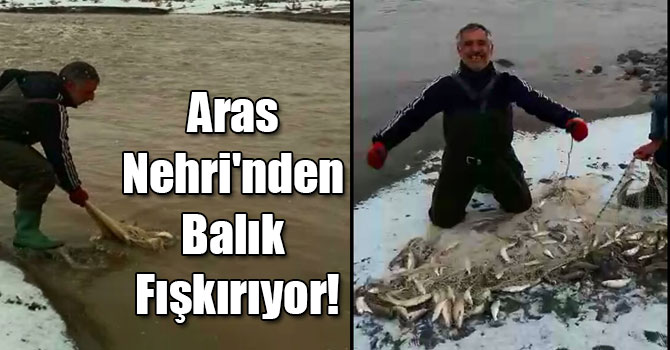 Aras Nehri'nden Balık Fışkırıyor!