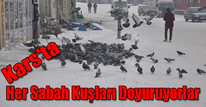Kars'ta Her Sabah Kuşları Doyuruyorlar