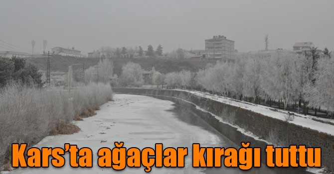 Kars’ta ağaçlar kırağı tuttu